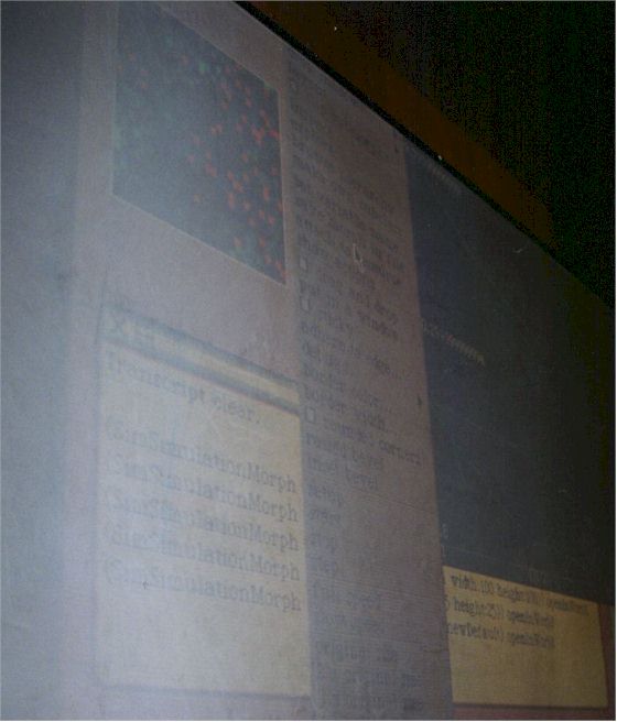 El modelo de simulaci�n de pasturas afectadas por una poblaci�n de vacas, modificado en tiempo real